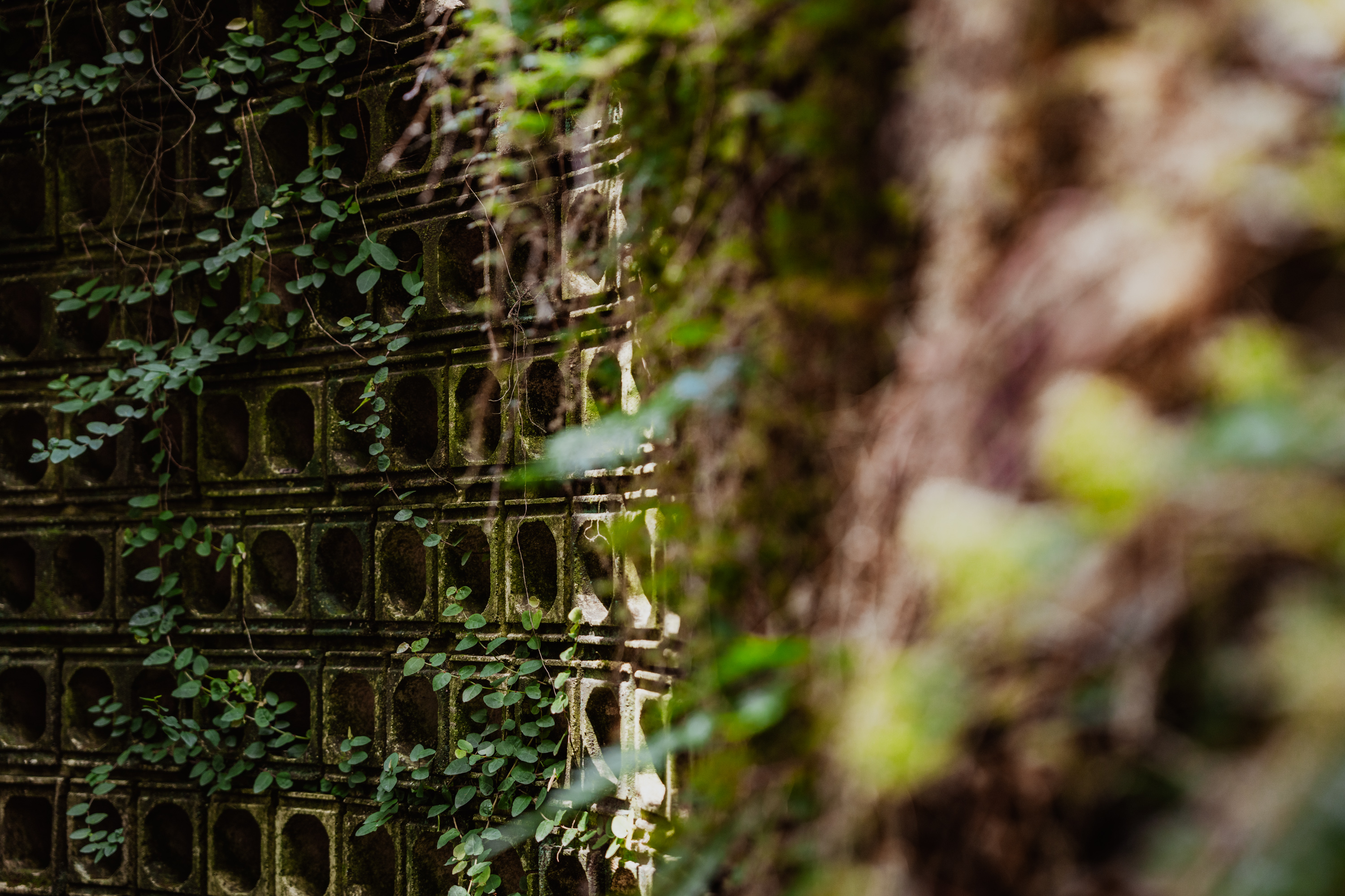 時間的容器，從舊木工廠長出的美術館